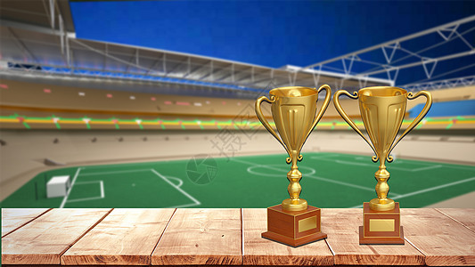 中的重要性 中的重要性