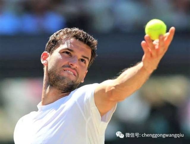 曼联队的双 曼联队的双