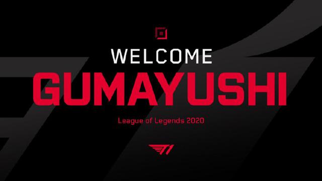 化与本土球 化与本土球