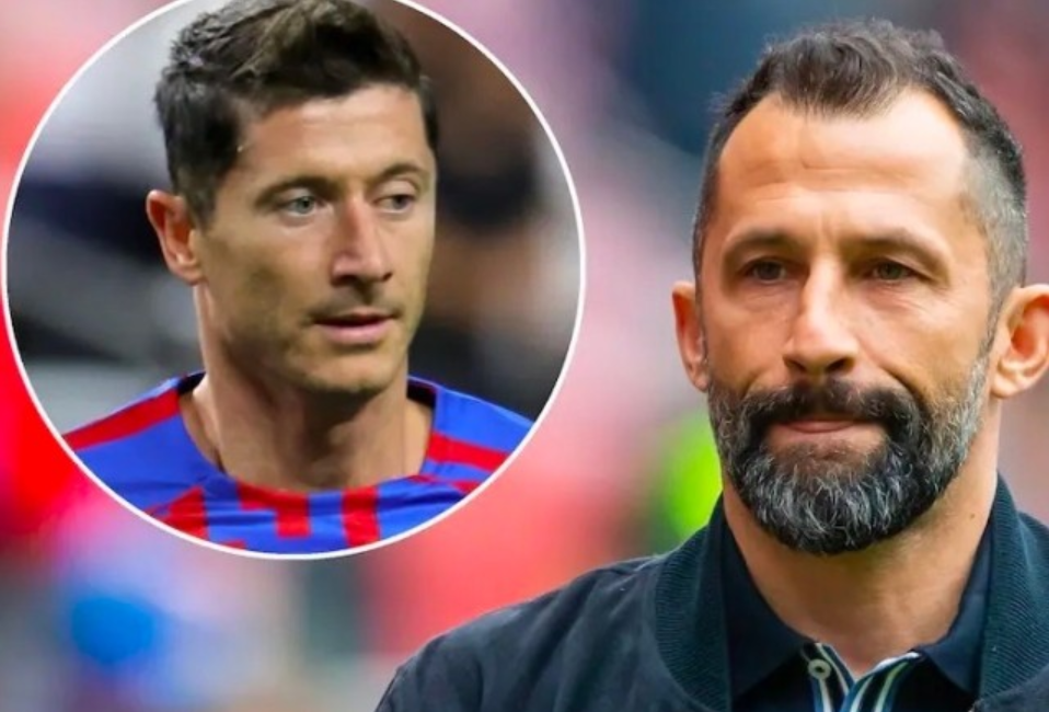 他们需要在 他们需要在