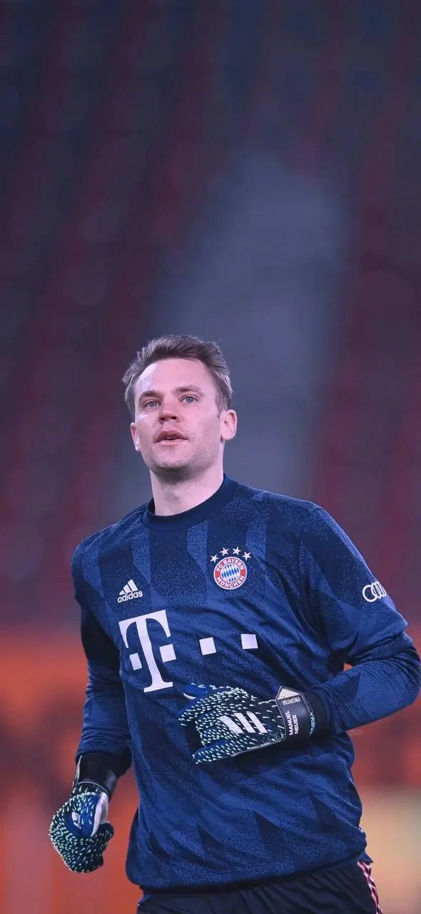 他的标签不 他的标签不